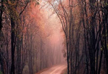 雷蒙：郭士强指导强调前两场比赛已经过去 全力备战与约旦的比赛