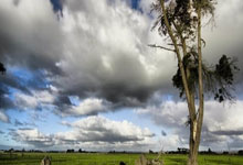 西媒：因拒绝签署医疗报告，巴萨决定解除特狮队长职务，巴萨官方推特