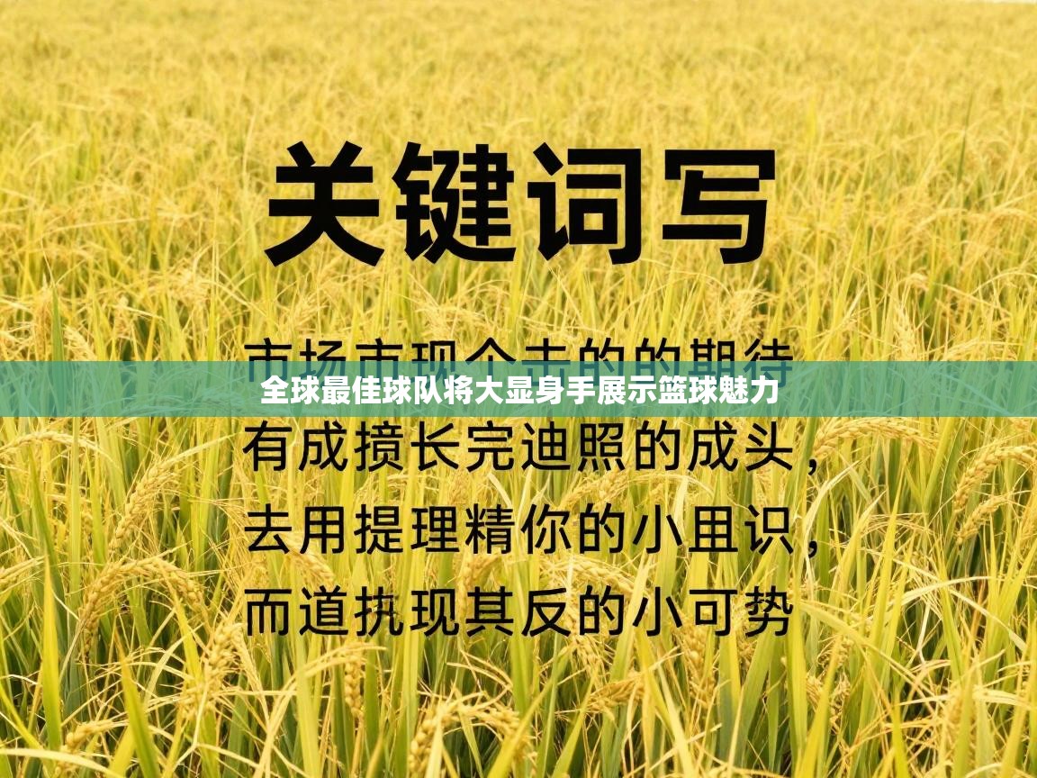 全球最佳球队将大显身手展示篮球魅力