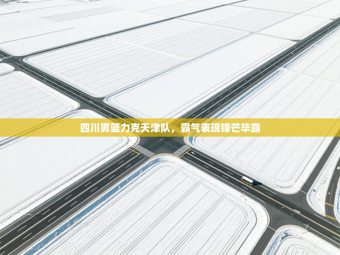 四川男篮力克天津队，霸气表现锋芒毕露